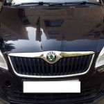 Skoda Fabia diesel car - Hisar